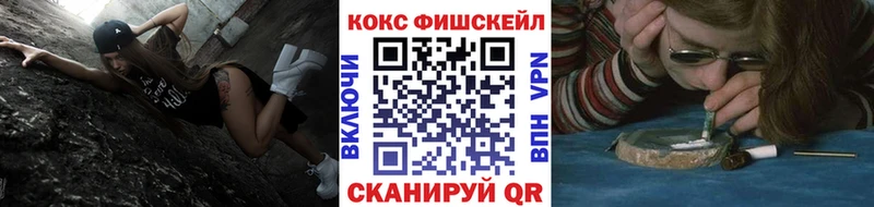 купить наркотики цена  маркетплейс формула  гидра как зайти  Cocaine Fish Scale  Ряжск 