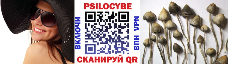 Галлюциногенные грибы Cubensis  даркнет официальный сайт  Ряжск 